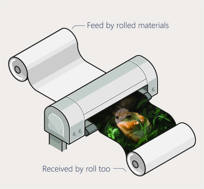illustration of roll-to-roll printer